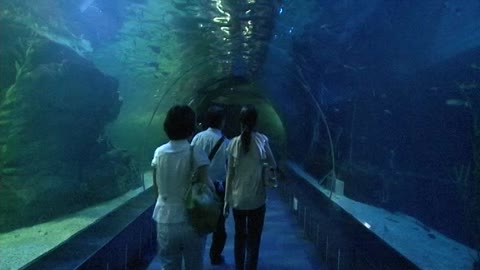 2011년 아쿠아리움 스케치 5(2011.07)